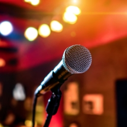 Speakers & Microphone 